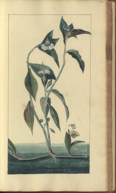 A page from the 
