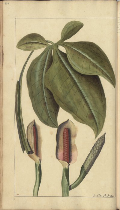 A page from the 