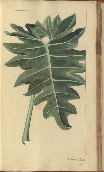 A page from the 