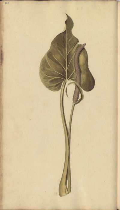 A page from the 