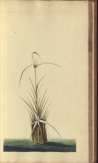 A page from the 