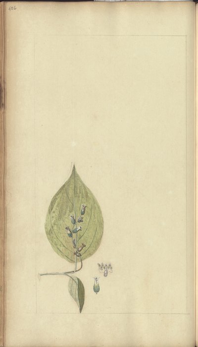 A page from the 