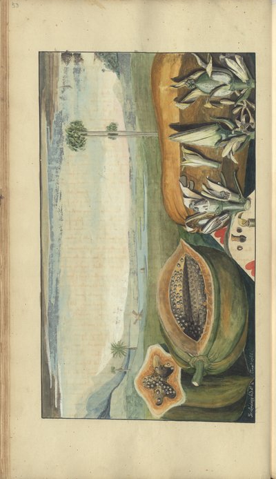 A page from the 
