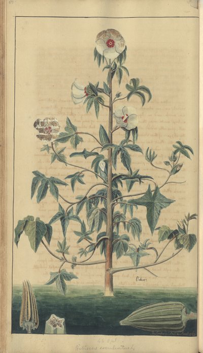 A page from the 