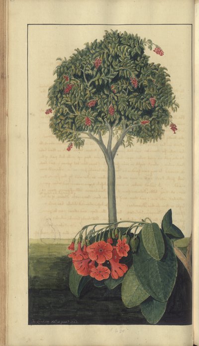 A page from the 