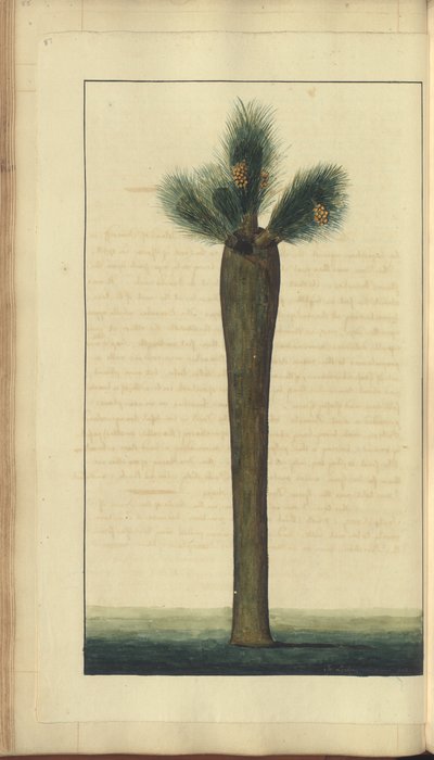 A page from the 