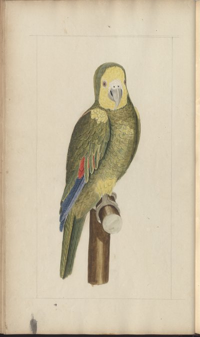 A page from the 
