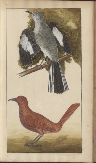 A page from the 