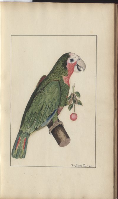 A page from the 