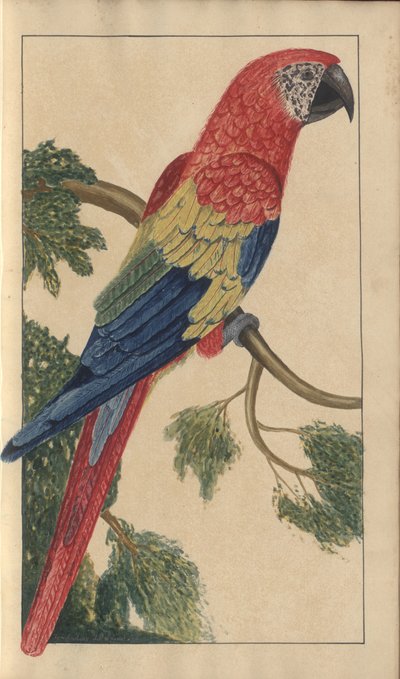 A page from the 