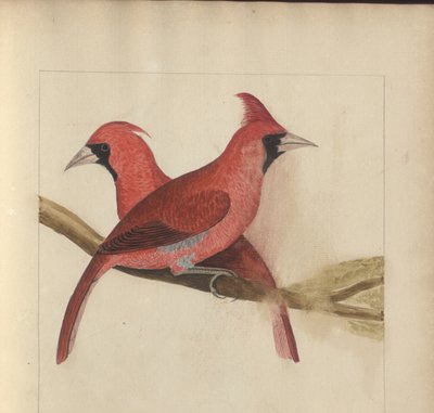 A page from the 