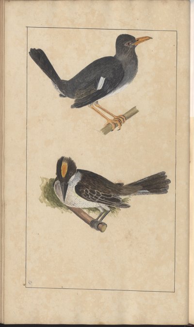 A Page from the 