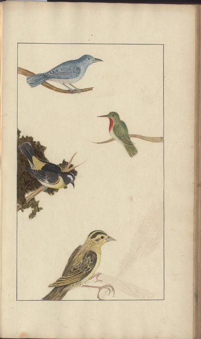 A page from the 