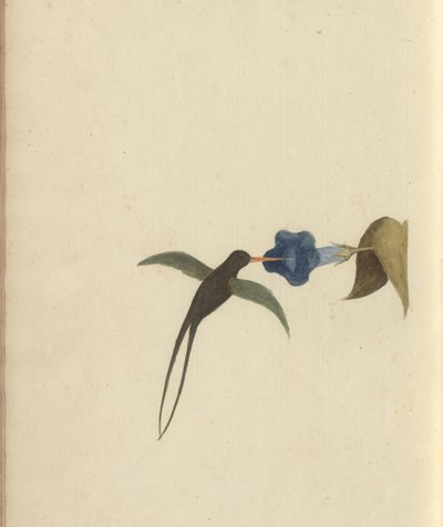 A page from the 