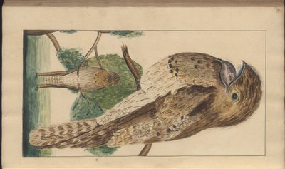 A page from the 