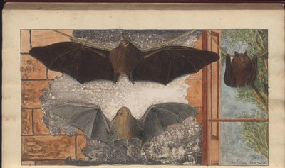 A page from the 