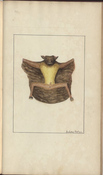 A Page from the 