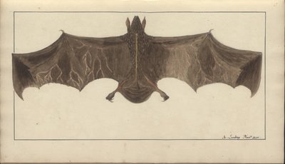 A page from the 