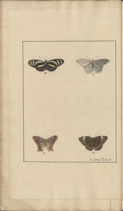 Lindsay Drawings Vol. VI, 35 by John Lindsay