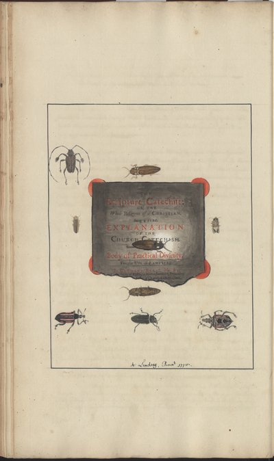 Lindsay Drawings Vol. VI, 95 by John Lindsay