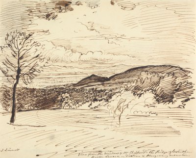 View from Mr. Sheppard