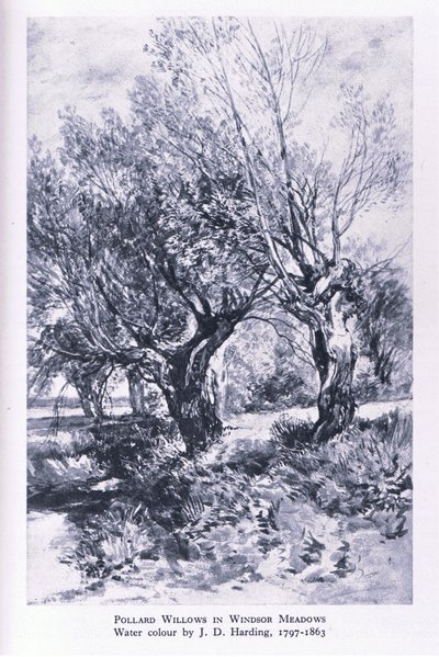 Woodcutters on the Outskirts of Windsor Forest, Nature in Britain by John Linnell