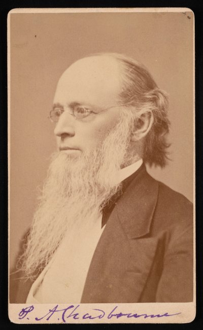Portrait of Paul Ansel Chadbourne 1823-1883, Between 1872 and 1875 by John Lyman Lovell