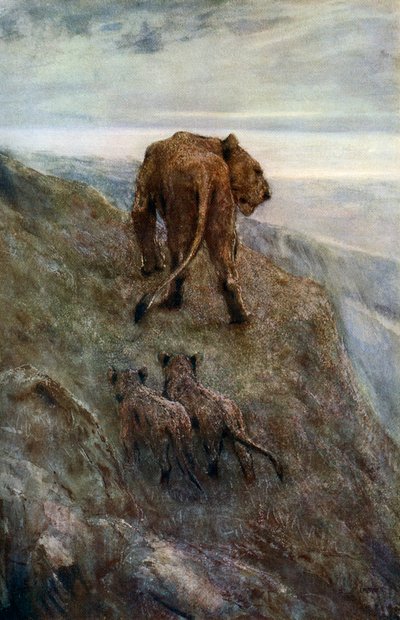 On the Alert - Lioness and Cubs, c1878-1910, 1912 by John Macallan Swan