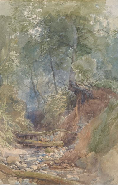 A Stream Near Clovelly, North Devon by John Middleton