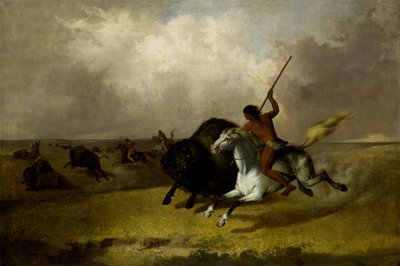 Buffalo Hunt on the Southwestern Prairies by John Mix Stanley