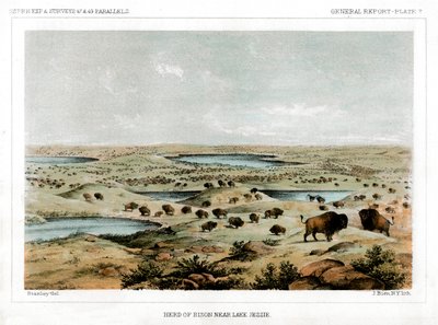 Herd of Bison Near Lake Jessie, North Dakota, USA, 1856 by John Mix Stanley