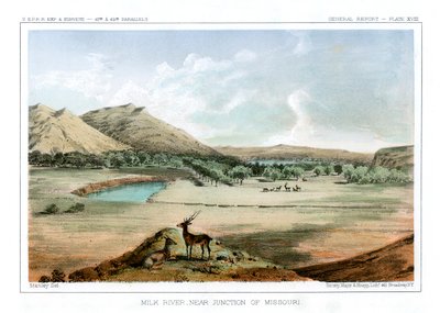 Milk River, Near Junction of Missouri by John Mix Stanley