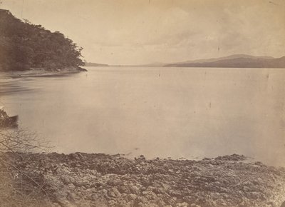 Tropical Scenery, Darien Harbor - Looking South by John Moran