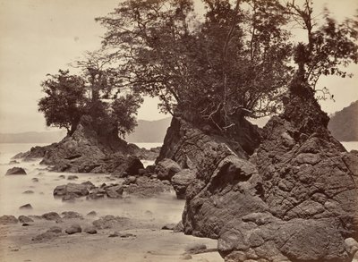 Tropical Scenery, Limon Bay - Low Tide, 1871 by John Moran