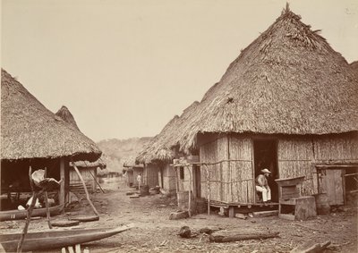 Tropical Scenery, Street, Chipigana by John Moran