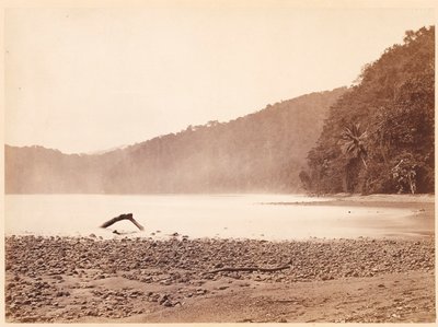 Tropical Scenery: The Terminus of the Proposed Canal, Limon Bay (Darien Expedition) by John Moran