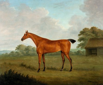 Chestnut Horse in a Landscape, 1815 by John Nott Sartorius