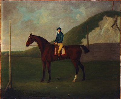 "Creeper", A Bay Colt with Jockey Up at the Starting Post at the Running Gap in the Devil