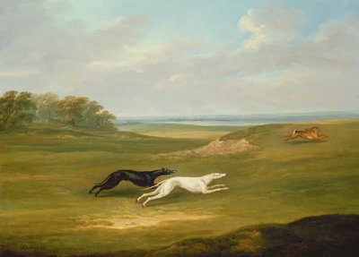 Running, a Coursing Scene by John Nott Sartorius