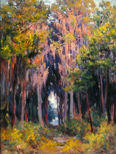 Hanging Moss, St. Petersburg by John Otis Adams