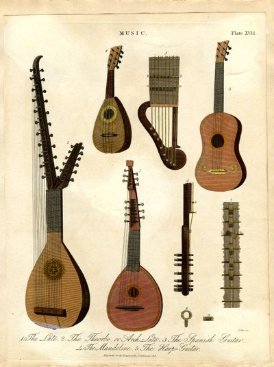 The Lute, The Theorbo or Arch-Lute, The Spanish Guitar, The Mandoline, The Harp-Guitar by John Pass