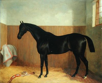 Tommy, Portrait of a Horse, c.1870s by John Paul