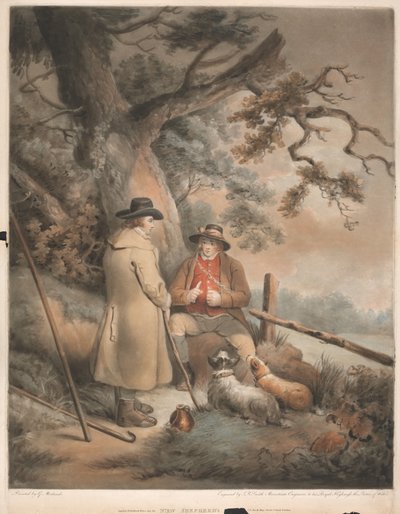Shepherd