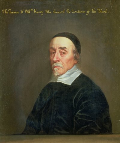 Portrait of William Harvey by John Riley