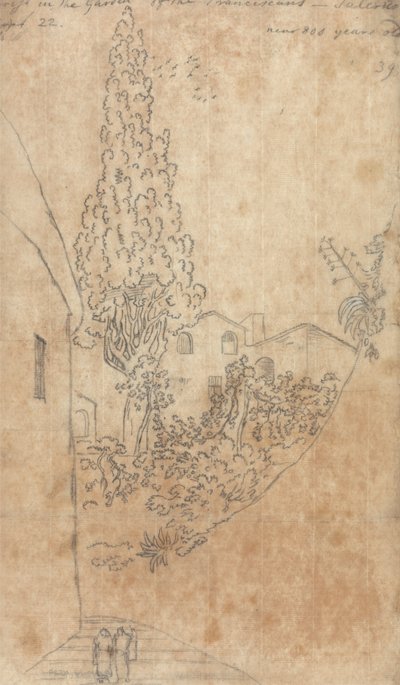 Cypress in the Garden of the Franciscans at Salerno by John Robert Cozens