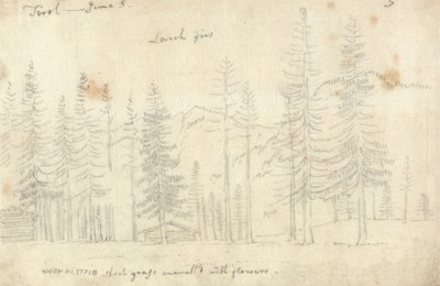 In the Tyrol by John Robert Cozens