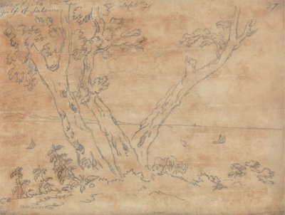 Near Raito on the Gulf of Salerno by John Robert Cozens