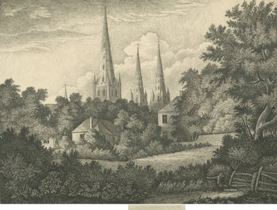 Lichfield Cathedral - North East View by John Robert Fernyhough
