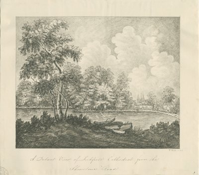 Lichfield Cathedral - West South West View (Distant) by John Robert Fernyhough