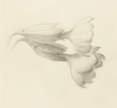 Cowslip Bells, probably 1871 by John Ruskin